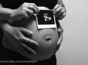Fotolia_35313168_XS