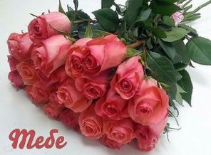 IMG-20161228-WA0002