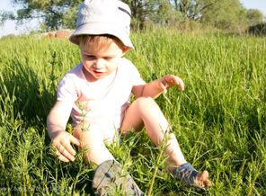 IMG_20160916_155329_2
