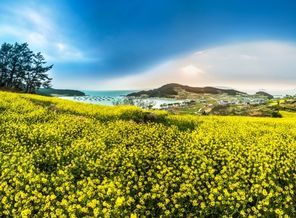 IMG_20160824_185557_9