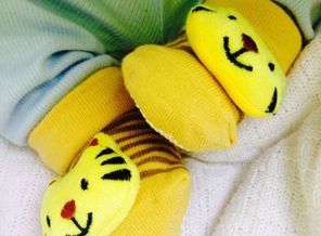 IMG_20160917_085252_18