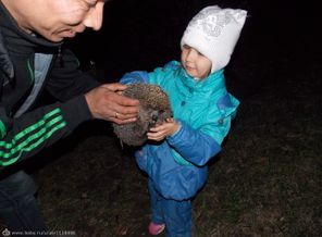 любим прогулки