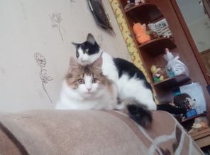 9qdXCatE1bI