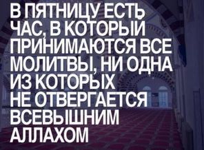 IMG-20170217-WA0008