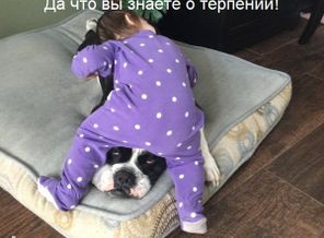 vdPJFXO3TrI