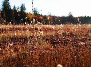 IMG_20160824_185557_9