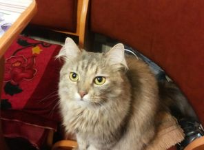 IMG_20160430_214615