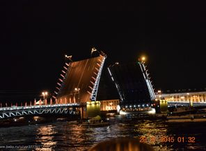 DSC_3510