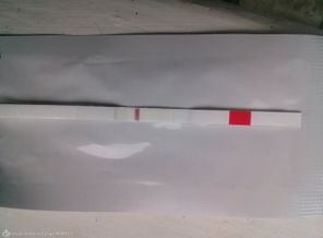 CAM02768