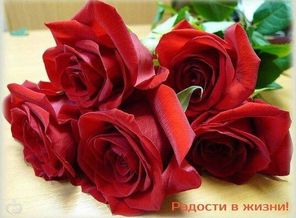 IMG-20161130-WA0000