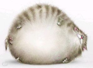 QFjFYgEtU_E