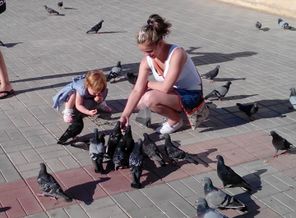 IMG_20150625_165410