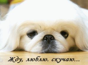 image (44)