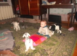 SAM_1193
