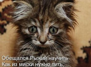 Вкуснее груши зверя нет.