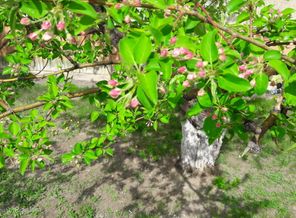 20160425_152305
