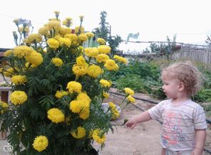 IMG_20160619_171120