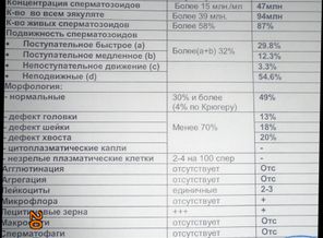 повторный анализ