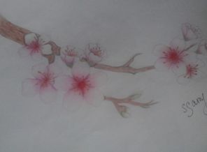 20150926_153736