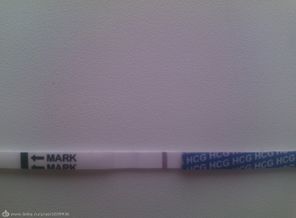 IMG_20160311_123621