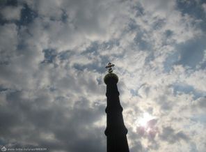 IMG_0739