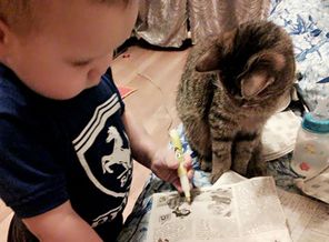 IMG_20170226_020019_807