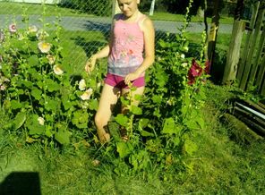 IMG_20150705_172823