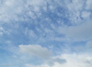 20160422_181659(0)