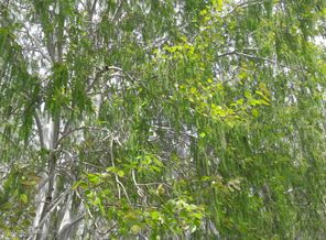 20160425_135328
