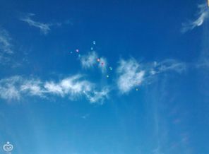 IMG-20160213-WA0007