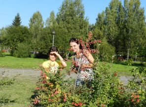 image (4)