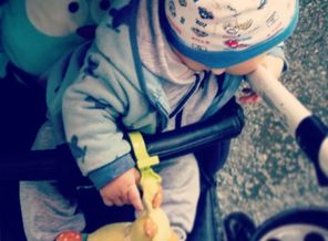 IMG_20160812_204541