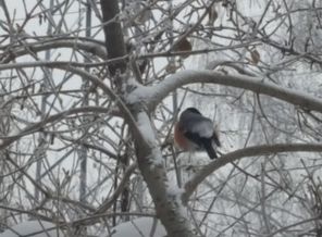 20170116_153824