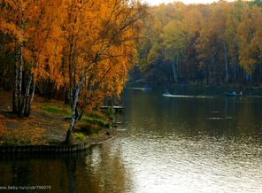 Ландшафтный заказник Теплый стан