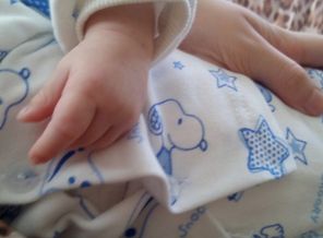 IMG-20160817-WA0001
