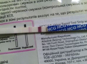 12дпо