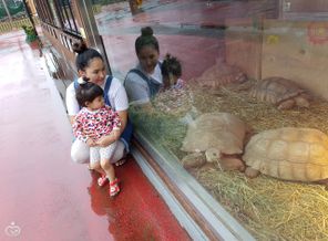 IMG_20160716_182605