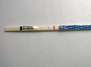 attach-636046276752113439(1).jpg