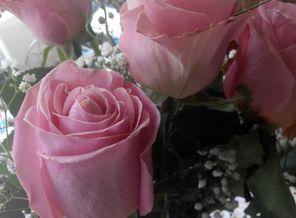IMG_20160712_102118