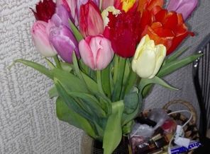 IMG_20160312_172716