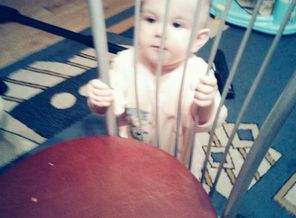 IMG_20151120_095706