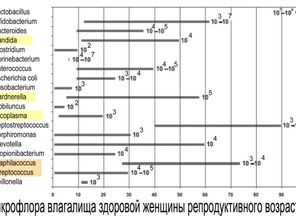 микрофлора женщины 02.jpg