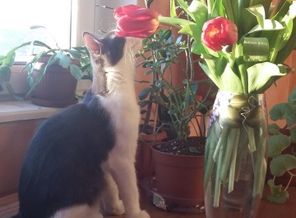 20170216_170544