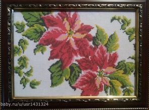 IMG_20150825_152526_3