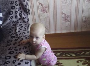 IMG_20170212_100647
