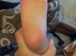 IMG_20161203_140719