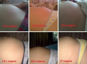 вот так растет наш малыш.