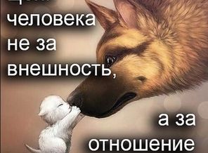 image (44)