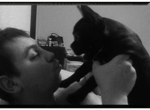lcoCmIZTDrk
