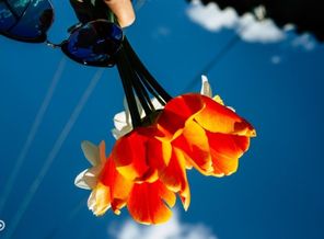 IMG_20160531_143518
